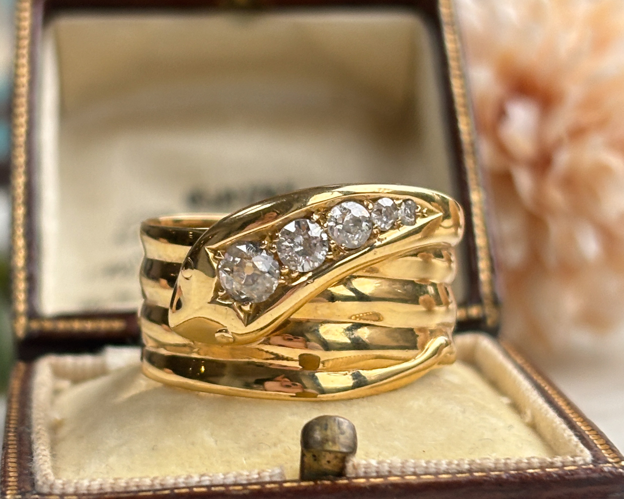 snake ring in box