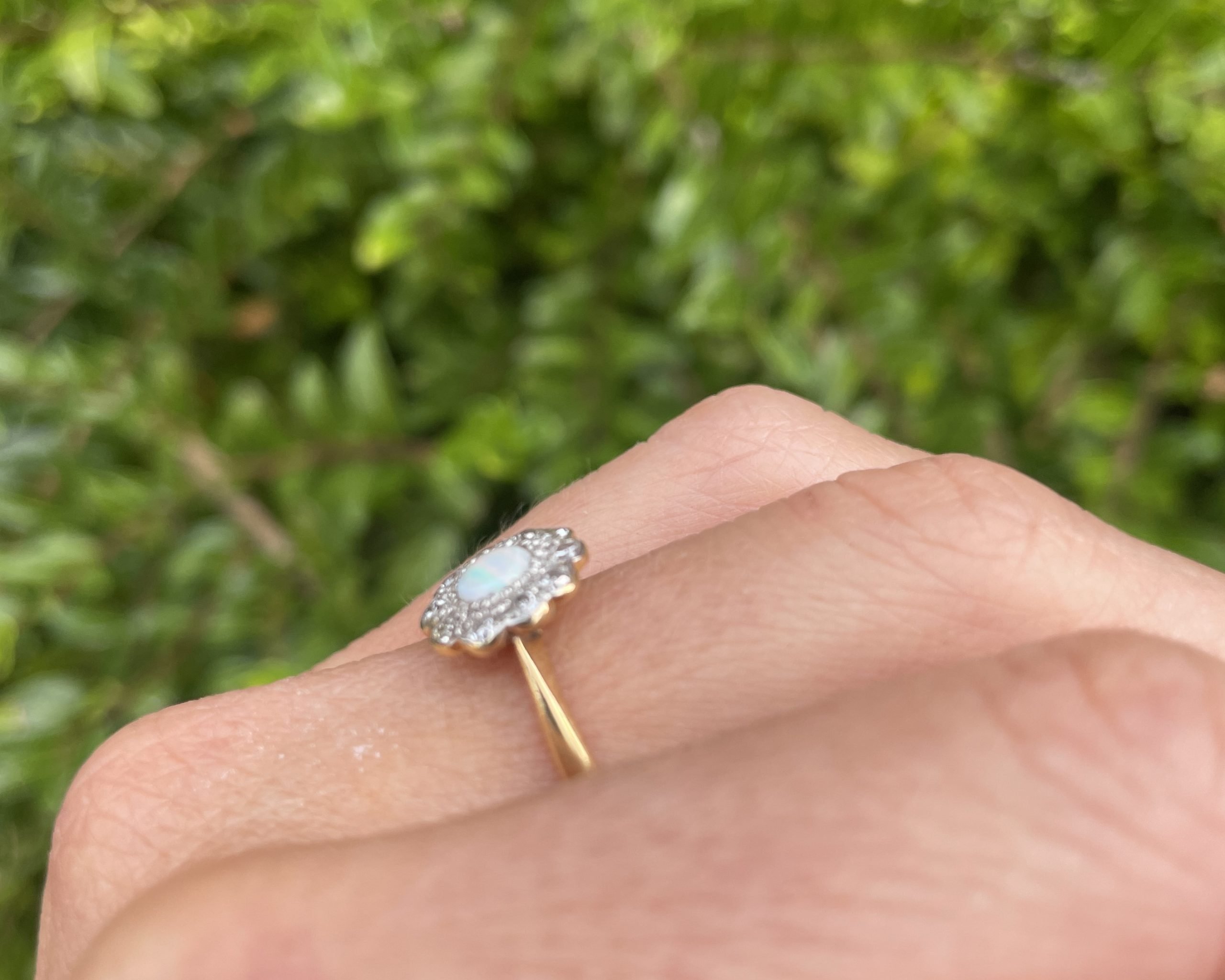daisy-opal-2-scaled-1.jpg
