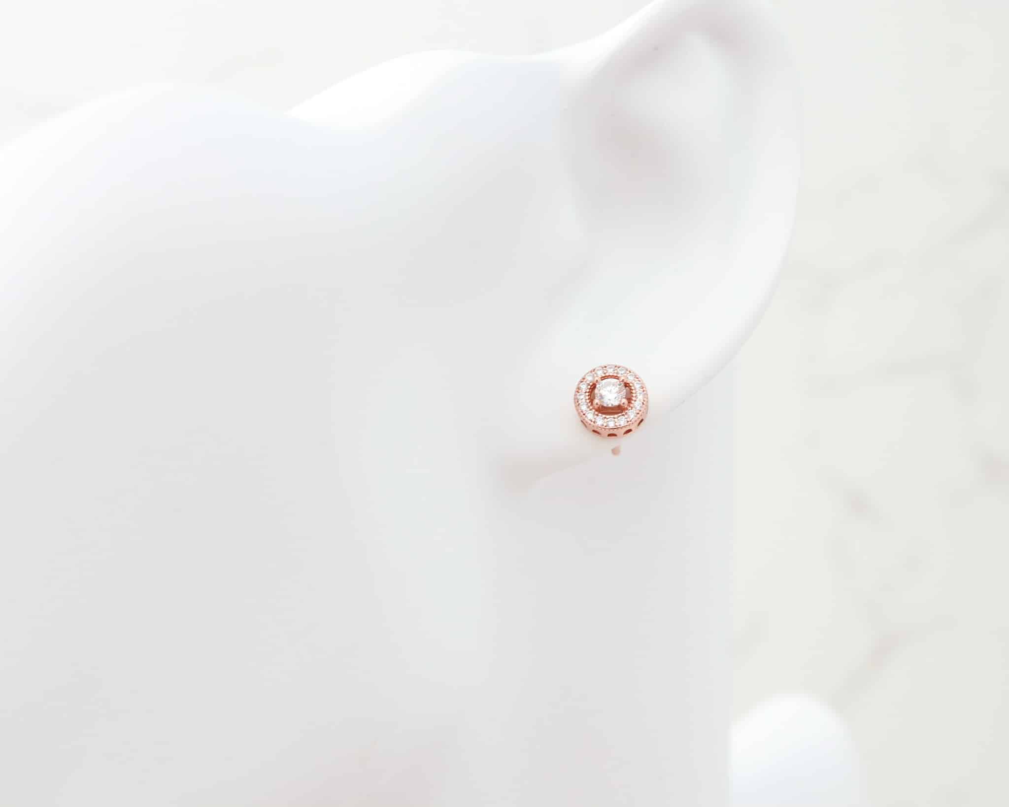 silver-and-rose-gold-plated-CZ-studs-4.jpg