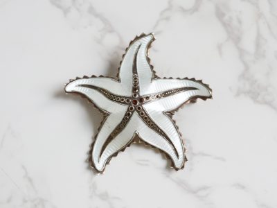 Antique silver star fish brooch in guilloche enamel made by Norwegian Ivor T Holth for sale in Leeds, Yorkshire