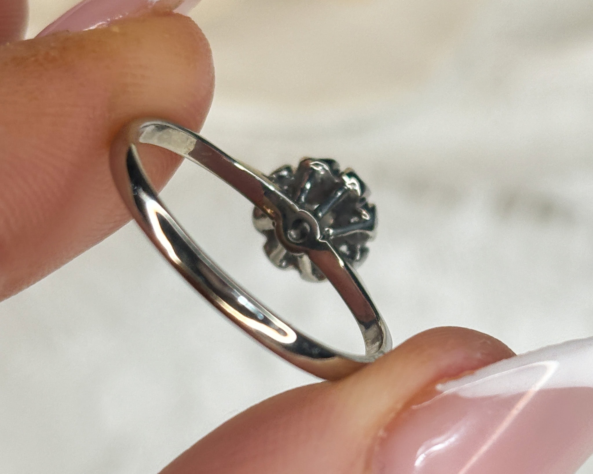 IMG_6512
