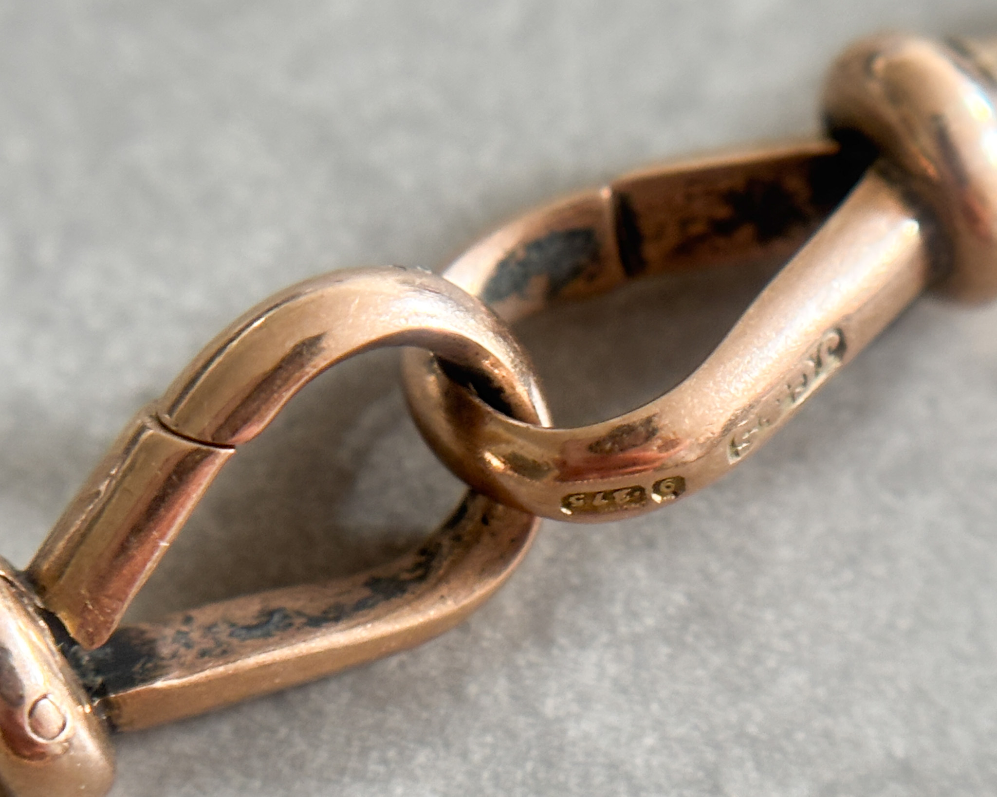 IMG_3648