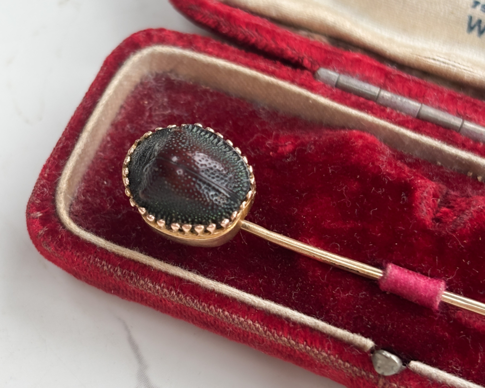 antique scarab beetle stick pin in 9ct gold shown in presentation box for sale in Leeds, Uk