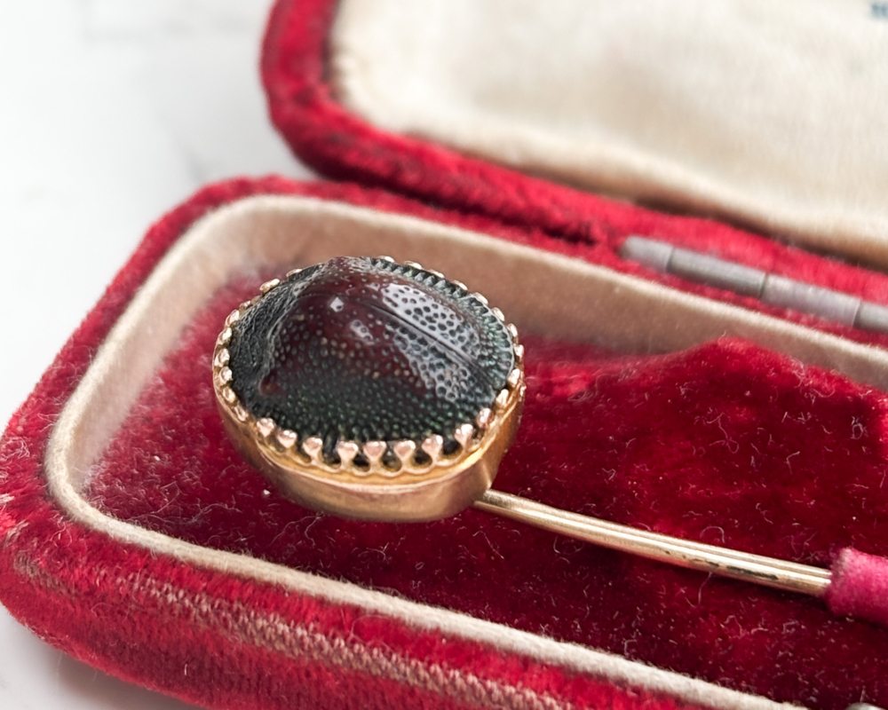 antique scarab beetle stick pin in 9ct gold shown in presentation box for sale in Leeds, Uk
