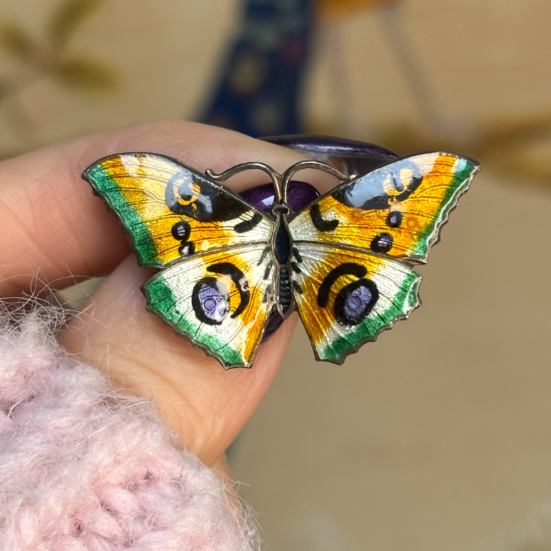 antique butterfly brooch in silver and enamel dated 1920 for sale in Leeds
