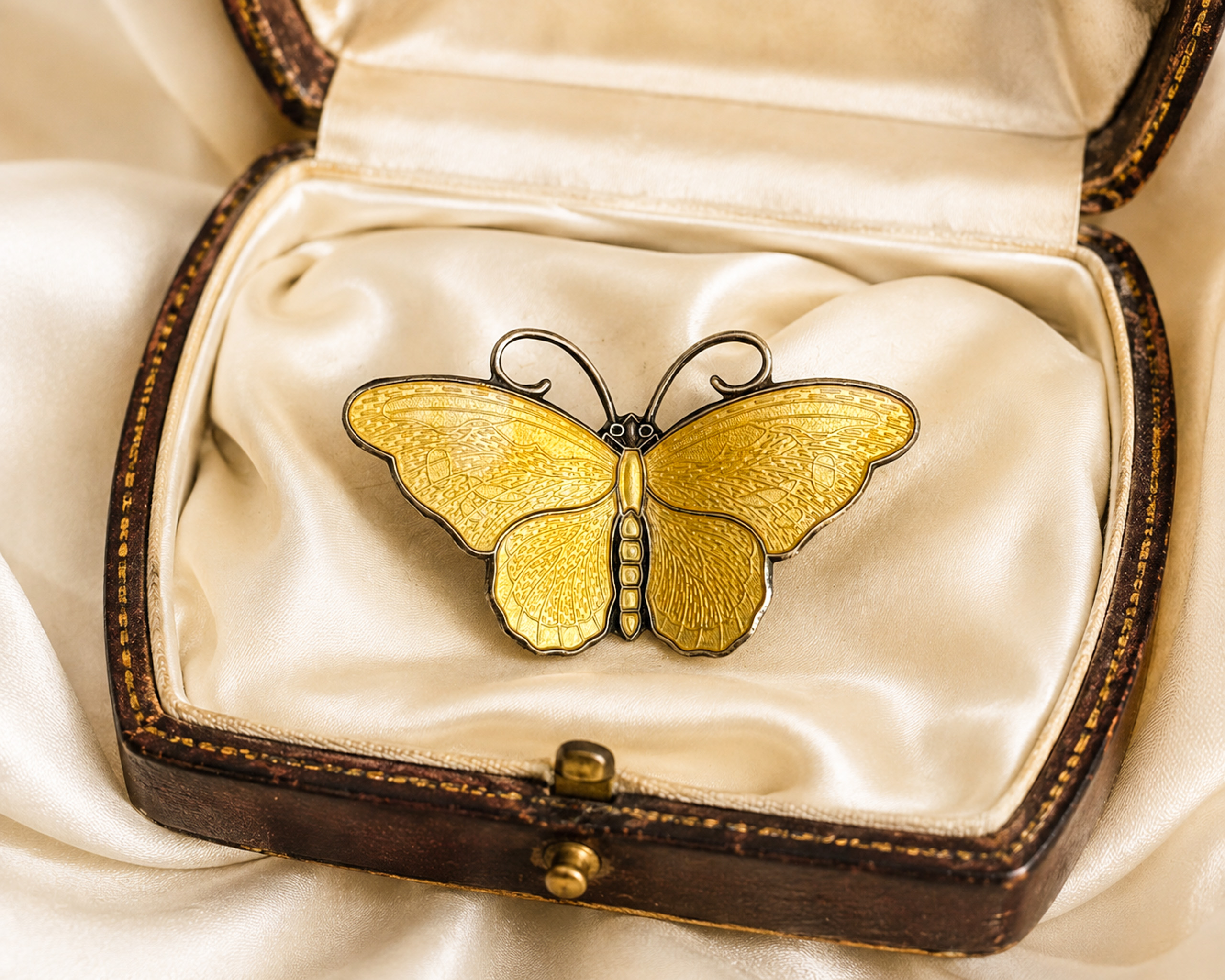 David Andersen butterfly in box