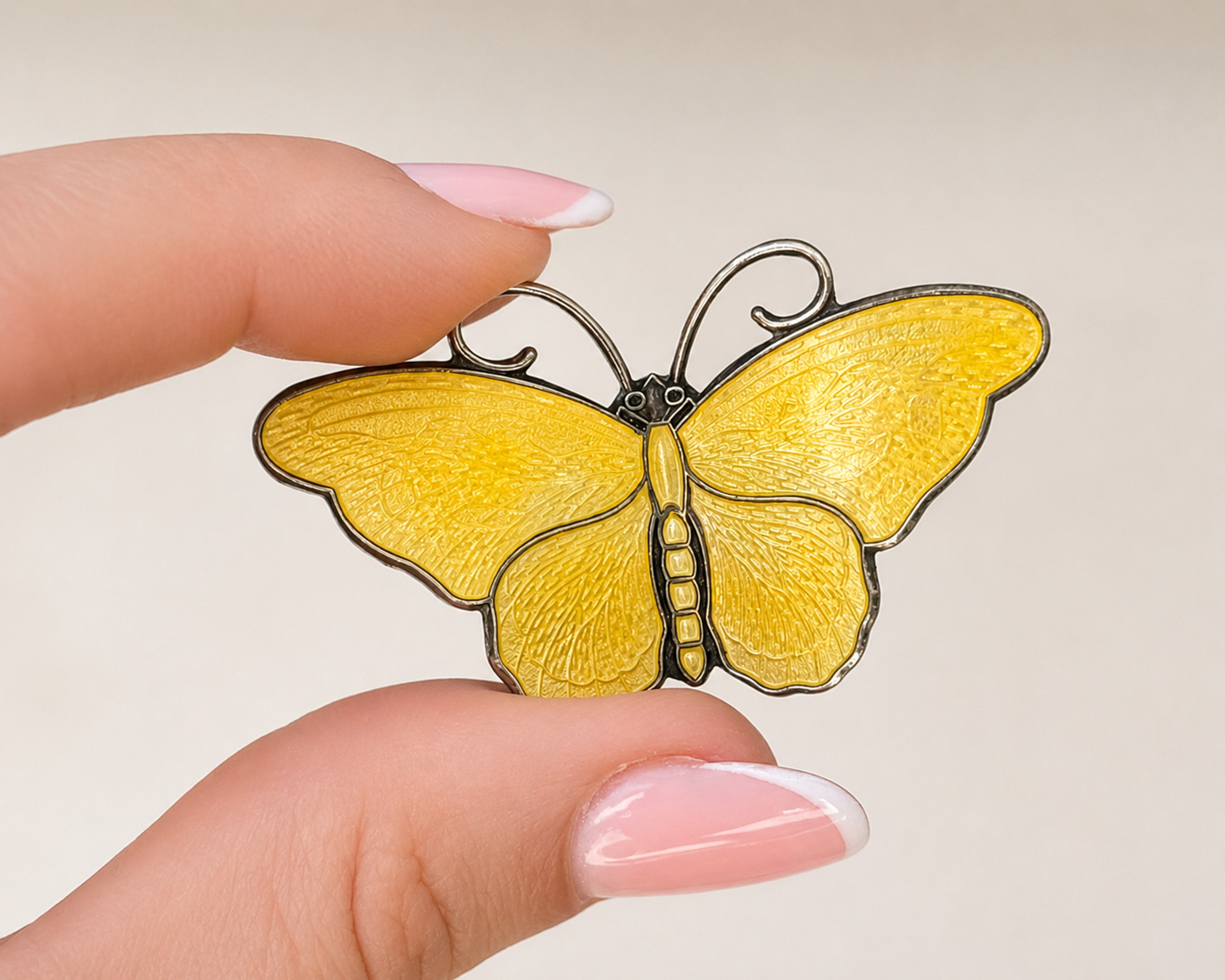 David Andersen butterfly in hand