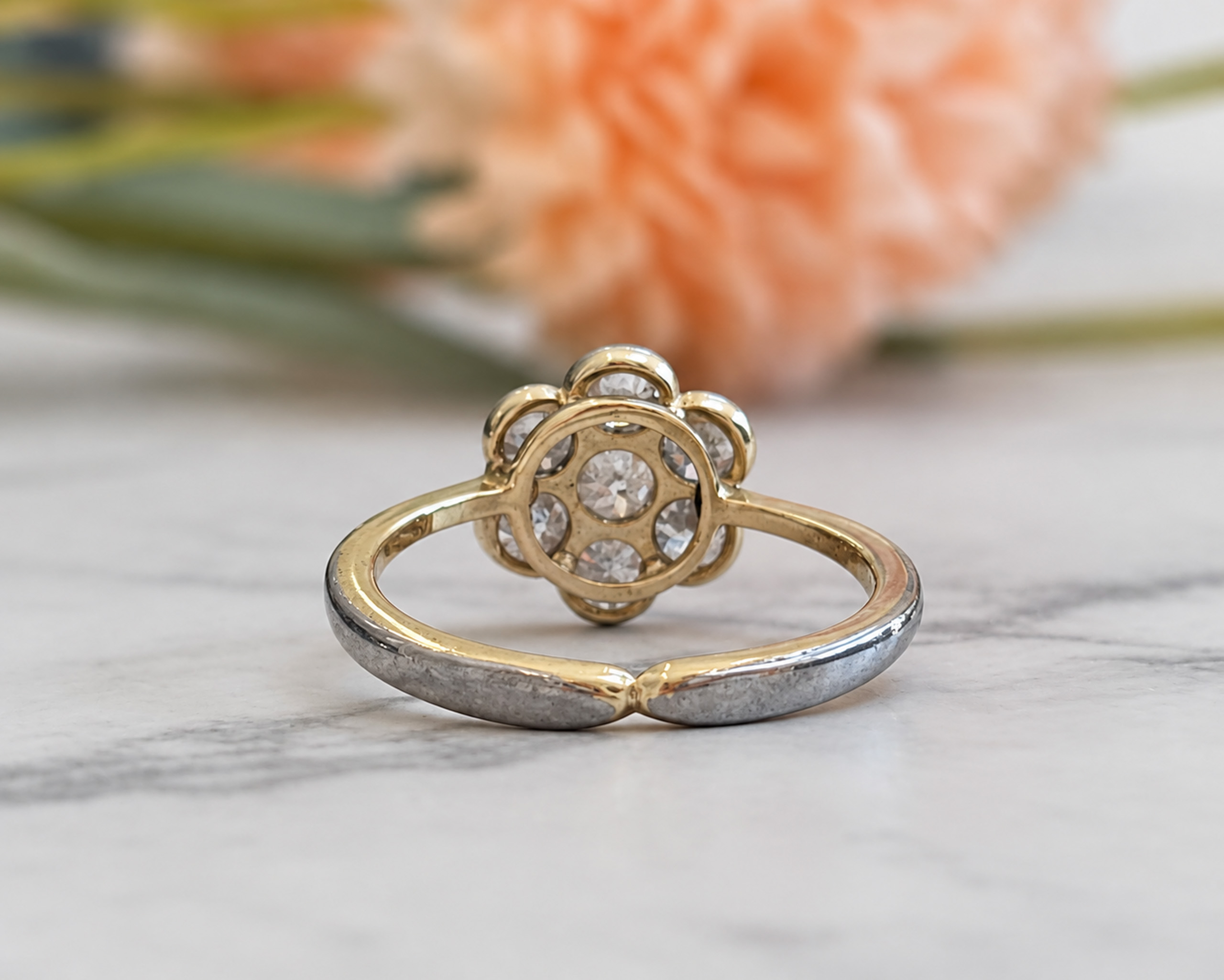 1ct daisy ring back