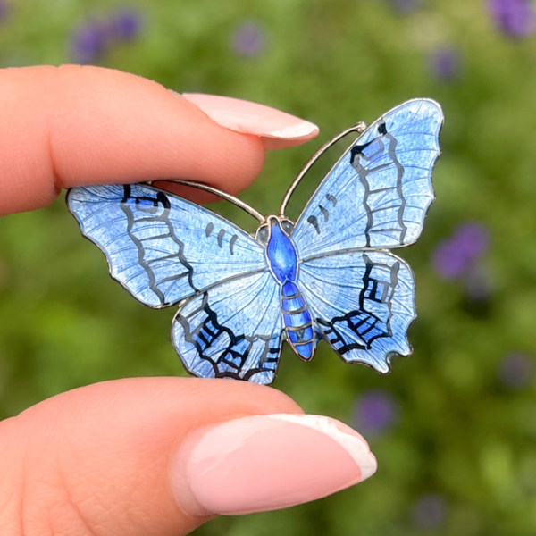 antique silver and enamel butterfly brooch for sale in Leeds, held in hand